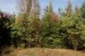 Sprzedam dziak 2238m2 - cena: 160 000 z (do negocjacji)